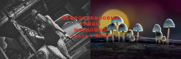 таблы Армянск