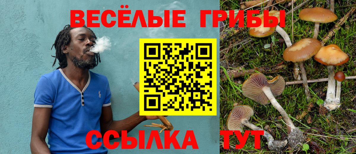 Псилоцибиновые грибы мухоморы Бирск