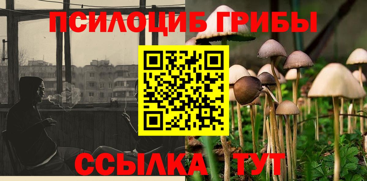Бирск  Псилоцибиновые грибы мицелий  наркошоп  Вход с VPN 